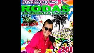 LA AVISPITA RODAS la Estrella ⭐ mágica sabor a chinamo