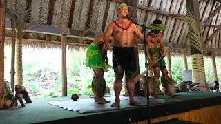 Polynesian Cultural Center (KAP Show) #coconuttree