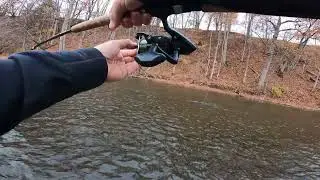 BROWN TROUT LAKE ONTARIO NY TRIBUTARY FISHING EARLY NOVEMBER 2023 