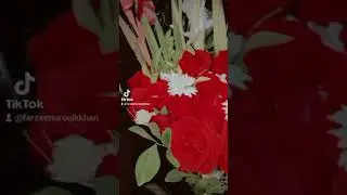 #lovemusic #beautiful #loveparty #lovesong #song #partyclub #clubparty #romanticmusic #love
