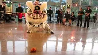 NUS HERE! Arts Carnival Party 2014 - NUS Chinese Orchestra & NUS Lion Dance 1of7 [HD]