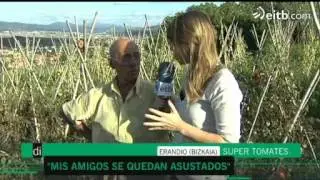 Tomates naturales... &iexcl;de tres kilos!