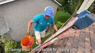 Gutter Cleaning