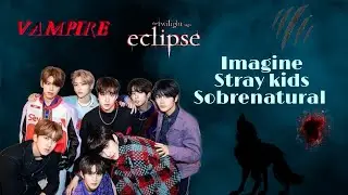 Imagine stray kids ¦ meu amor sobrenatural ¦ episódio 1