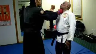 Sanuces Ryu Jiu Jitsu Techniques