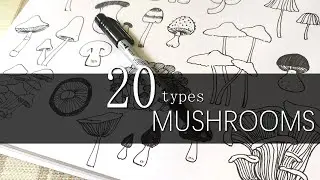 Doodle Arts|How to draw Mushrooms|20 types|Milly's Doodles
