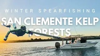 Невероятная видимость!! Зимняя подводная охота на острове Сан-Клементе!