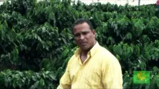 Reportage de Cafe Induban