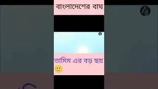 তামিমের সেরা ছয়🤟#shorts #short #bbc sports news