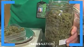Why are more people being sent to the hospital after smoking marijuana? | NewsNation Live