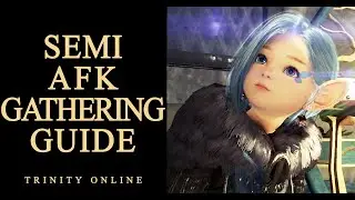 SEMI-AFK GATHERING GUIDE FOR BEGINNERS AND NEW PLAYERS BDO BLACK DESERT TUTORIAL + SALARY TIPS
