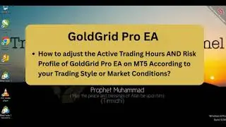 How to Adjust the 'Active Trading Hours' AND 'Risk Profile' of GoldGrid Pro EA on MT5 &mdash;(ENGLISH)