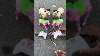Remote control 2 ta big horses 🐎 & 2 ta mini horse 🐴 Unboxing#shortsfeed