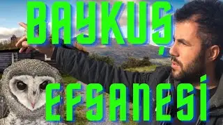 BAYKUŞ GİREN EVDEN CENAZE ÇIKARMIŞ (İZLE) #baykuş #baykuşyavrusu