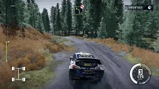 WRC 10 &ndash; Wales Rally GB | Dyfi Stage | Ford Fiesta M-Sport WRT | Controller Gameplay