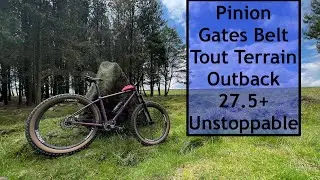 Pinion Gearbox Gates Carbon Drive Belt Tout Terrain Outback 27.5+ Hardtail