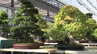 Zulauf TV 05_2012