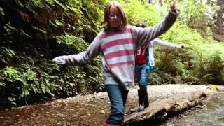 Fern Canyon &ndash; Gold Bluffs Beach