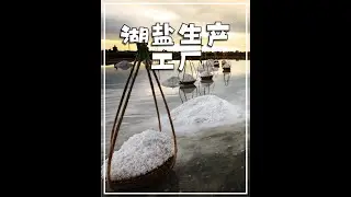 湖盐是如何生产的？先将盐结晶倒入清洗池，再烘干多余的水分！ #湖盐 #食盐 #dou来安利纪录片 #咸水湖