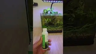 You need this plant fertilizer for better growth