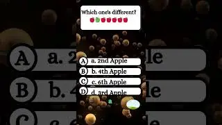 Brain Teaser Questions.