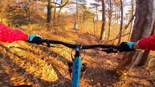 Hoher Lindkogel Winter-Mountainbiken