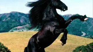 El Catrin - Los canelos de durango