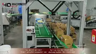 robot workspace Manipulator|YQ machinery automatic robot palletizing system