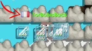 TORBOB IS BACK AND AUTOFARMING + Proof (Torbob 289)