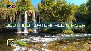 Relaxing Rocky Mountain Waterfall & River. Soothing Sound Of Nature In a Rocky Forest To Sleep