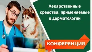 Лекарственные средства, применяемые в дерматологии