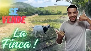 Visité esta Finca Ganadera🐄🌾en Venta y su Dueña me Reveló su Precio🤑/ No creerás Cuánto…
