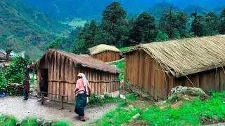 Traditional Nepali Himalayan Village Lifestyle | Organic Food Cooking in Countryside Village Girl 