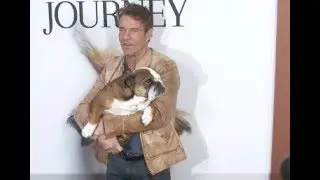 Dennis Quaid's dog 'Peaches' at the 