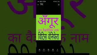 January 14, 2026 #अँगूर #kbc no.1