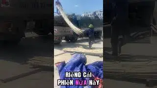 #coctrelocphat #coctre #saptre #phennua #caychonggo  Ph&ecirc;n nứa, ph&ecirc;n tre giao c&ocirc;ng tr&igrave;nh