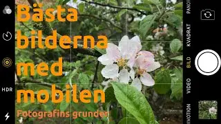 Bästa bilderna med mobilen