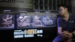 25公分小型缸造景4種素材！連設4缸！ep77