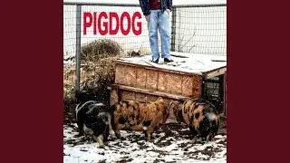 DEADWEIGHT