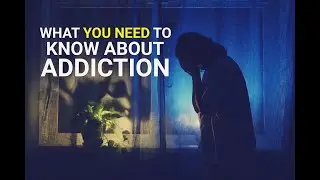 Understanding Addiction: Causes, Stages, Health Risks, and Treatment Explained