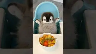 Spud lover 🥔#adorable #pet #pets #creative #ai #new #funny #fun #cute #penguin #healing