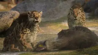 Terror Bird Hunted By Smilodon | Life On Our Planet Chapter 1