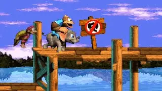 DKC 3: Dixie's Double Trouble - 1 - twice the summer fun