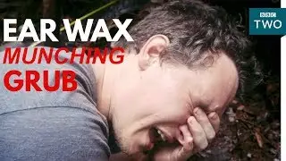 Jungle grub eats ear wax! - My Year with the Tribe - BBC