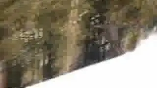 Taichi Skiing/Flatboarding: flatskiing