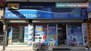 Petshop Geziyoruz! #1 (Atakan Petshop)
