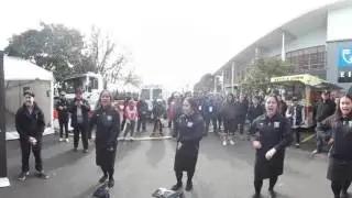 Haka 360 Tai Wānanga - TŪ TOA