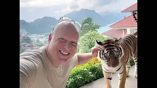 Watch me pet a tiger in Thailand 🇹🇭 