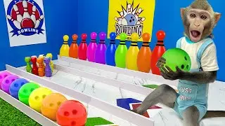 Baby Monkey Bim Bim plays bowling ball with Amee and eats pizza