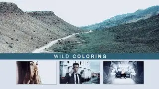'Wild' Coloring by lightningxdisaster [50K]